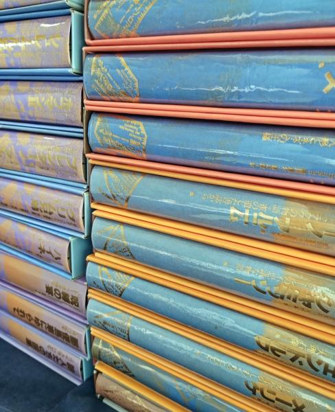 ドイツ・ロマン派全集 全20巻＋別巻2冊の内の18冊 / かもがわ書店