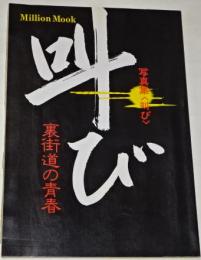 写真集　叫び　裏街道の青春　暴走族