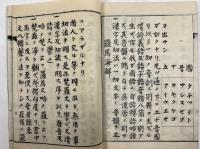 羅馬字解 
