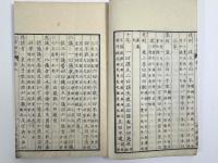 三律摭要　2巻1冊