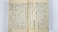 亜国官吏登城並対話書-水府浪人桜田狼藉其他　1冊
