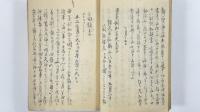 亜国官吏登城並対話書-水府浪人桜田狼藉其他　1冊