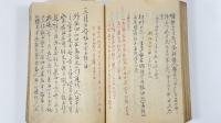 亜国官吏登城並対話書-水府浪人桜田狼藉其他　1冊