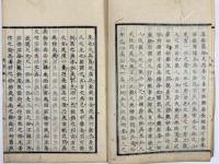 老子輻注　2巻2冊