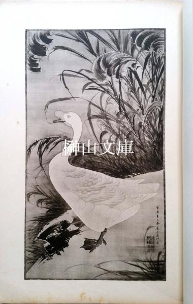 御物若冲動植綵絵精影(伊藤若冲画、東京市帝室博物館蔵版 御物若冲動植綵絵精影(伊藤若冲画、東京市帝室博物館蔵版