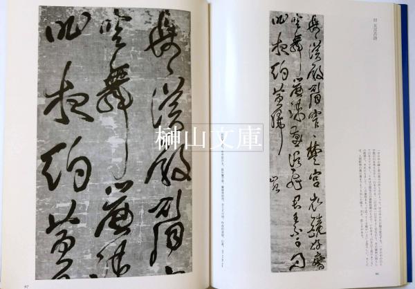 傳山の書法(山内観編) / 古本、中古本、古書籍の通販は「日本の