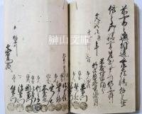 御判物許見証文　文政八年　栃木町文右衛門宛