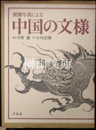 展開写真による中国の文様