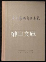 中国田野考古報告集　考古学専刊　丁種第二十二号　唐長安城郊隋唐墓