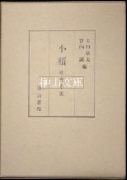小額　社会小説