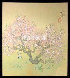田畑秋濤　色紙　梅に小禽図