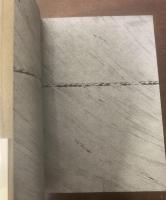 人民をわすれたカナリアたち　【初版・帯・元ビニ】