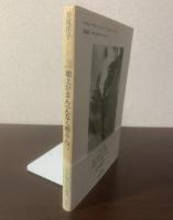 地上がまんべんなく明るんで