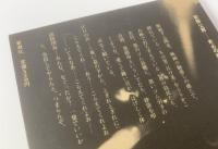 未必の故意 〈書下ろし新潮劇場〉