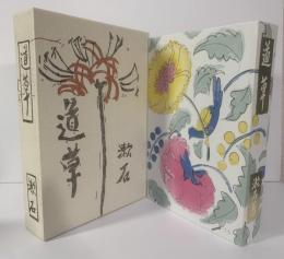 道草 〈岩波文芸書・初版本復刻シリーズ〉