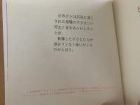 ピカドン PIKA-DON 〈英文付改訂新版〉