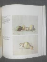 Balthus-Drawings and Watercolours 【洋書・英】
