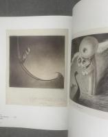 ALFRED KUBIN :DIE SAMMLUNG LEOPOLD / THE LEOPOLD COLLECTION【洋書・独】