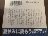 ろくでなしのバラッド-人間は賭けをする動物である　【小学館文庫】