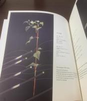 陽炎の航路/77の物語