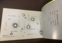 ザ・グラフィティ  いま演劇の異兄弟姉妹たち