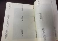 サーカムナヴィゲイション