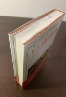 ロマン主義と表現主義　現代芸術の原点を求めて/比較美学の試み 〈叢書ウニベルシタス〉