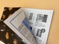 芸術新潮　2006年　6月号　特集：芭蕉から蕪村へ　俳画は遊ぶ