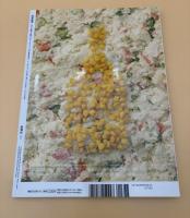 芸術新潮　2014年　2月号　特集：英国ヴィクトリア朝美術の陶酔　①