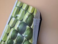 芸術新潮　2020年4月号　特集：ロンドン・ナショナル・ギャラリー　西洋絵画の殿堂で学ぶ、名画のみかた