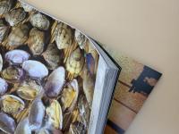 芸術新潮　2021年　8月号　特集：いよいよ行ける日のためにとっておきの聖地