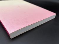 八重の桜 : 二〇一三年NHK大河ドラマ : 特別展