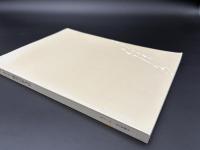 種田山頭火展 : 漂白の俳人 : 生誕100年