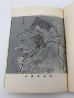 水俣ーその差別の風土と歴史　不知火海一調査団員の証言