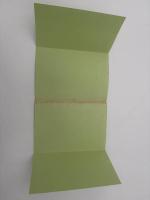 水俣ーその差別の風土と歴史　不知火海一調査団員の証言