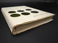 新しい世界の文学　ライ麦畑でつかまえて