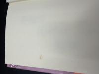 中世の非人と遊女