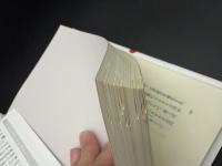 山口組若頭暗殺事件 : 利権をめぐるウラ社会の暗闘劇