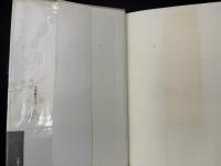 分散する理性 : 現象学の視線