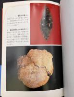 先土器時代の知識