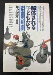 解体される子どもたち : 少年犯罪の政治学