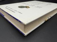 解体される子どもたち : 少年犯罪の政治学