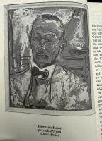 【ドイツ語洋書】『荒野の狼』：Materialien zu Hermann Hesses Der Steppenwolf