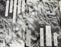 季刊月下の一群　特集：人形　魔性の肌