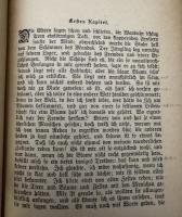 【ドイツ語洋書】Heinrich von Ofterdingen：『青い花』