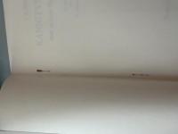 【ドイツ語洋書】『Kannitverstan und andere Erzählungen』（カンニットフェルシュタンほか短編集）