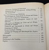 【ドイツ語洋書】『ドイツ文学史』（Geschichte der deutschen Dichtung）