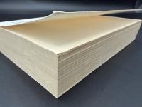 【ドイツ語洋書】SAG ES TREFFENDER（より的確に言おう）