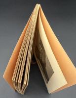 ノア・ノア : タヒチ紀行