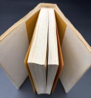 子どもの犯罪と死